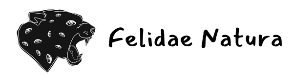 Felidae Natura